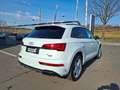 Audi Q5 40 TDI quattro * S-LINE * PANORAMADACH Weiß - thumbnail 9