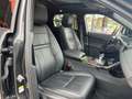Land Rover Range Rover Evoque R-Dynamic SE*Pano*LED* Grau - thumbnail 13