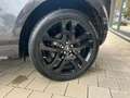 Land Rover Range Rover Evoque R-Dynamic SE*Pano*LED* Grau - thumbnail 25