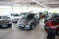 Renault Scenic III Dynamique Grau - thumbnail 27