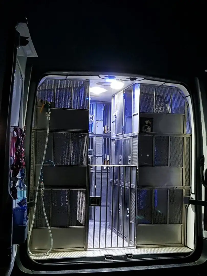 Opel Movano trasporto cani e gatti - 1