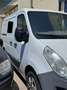 Opel Movano trasporto cani e gatti - thumbnail 8
