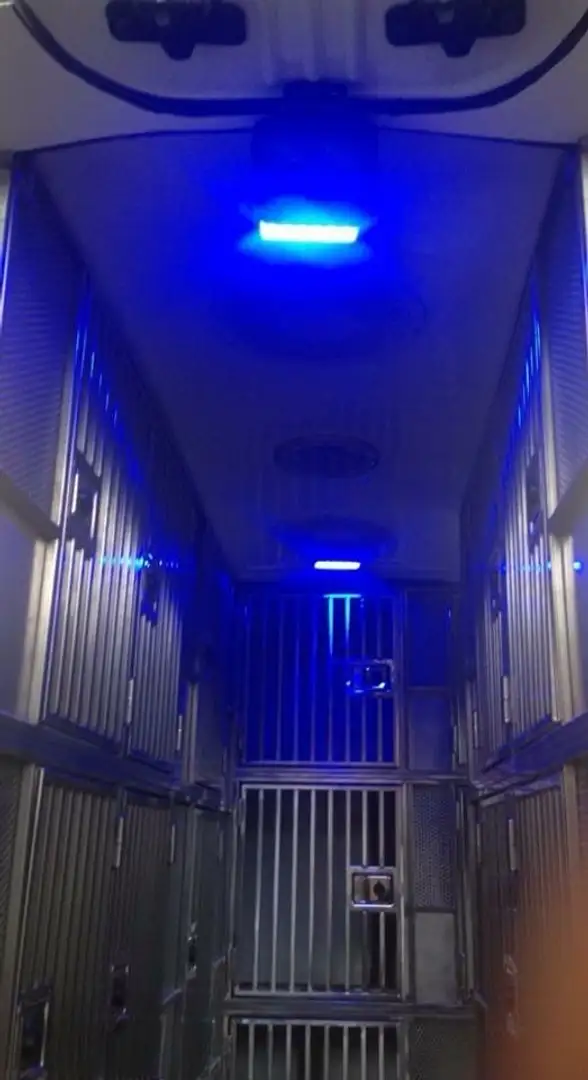 Opel Movano trasporto cani e gatti - 2