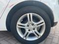Renault Clio 1.2 75 CV GPL 5p. Costume National Weiß - thumbnail 19