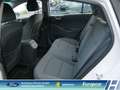 Hyundai IONIQ Elektro CarPlay Android Auto Klimaaut. DAB 1. Hand Weiß - thumbnail 10