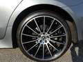 Mercedes-Benz CLS 350 d 4MATIC Aut. *VOLL* € 769,37 monatlich Grau - thumbnail 19