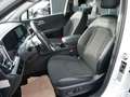 Kia Sportage 1,6 CRDI 48V Gold AWD DCT Weiß - thumbnail 20