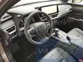 Lexus 250h Autom. Premium Plus Leder ACC Kamera Grau - thumbnail 11
