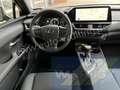 Lexus 250h Autom. Premium Plus Leder ACC Kamera Grigio - thumbnail 14