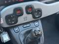Fiat Panda 1.0 FireFly Hybrid City Cross Bianco - thumbnail 12