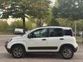 Fiat Panda 1.0 FireFly Hybrid City Cross Bianco - thumbnail 4