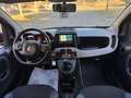 Fiat Panda 1.0 FireFly Hybrid City Cross Bianco - thumbnail 10