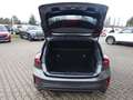 Ford Focus 1.0L ST-Line MHEV ParkAss WiPa iACC TWA Grau - thumbnail 4