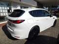 Mazda CX-60 2.5L e-Skyactiv PHEV Homura Hybrid AWD CON-P DRI-P Blanc - thumbnail 6