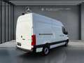 Mercedes-Benz Sprinter 317 CDI Kasten L2H2 9G Klima+Kam.+Navi Blanc - thumbnail 13