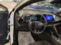 Toyota C-HR 1.8 hv Active eco fwd e-cvt Bianco - thumbnail 5