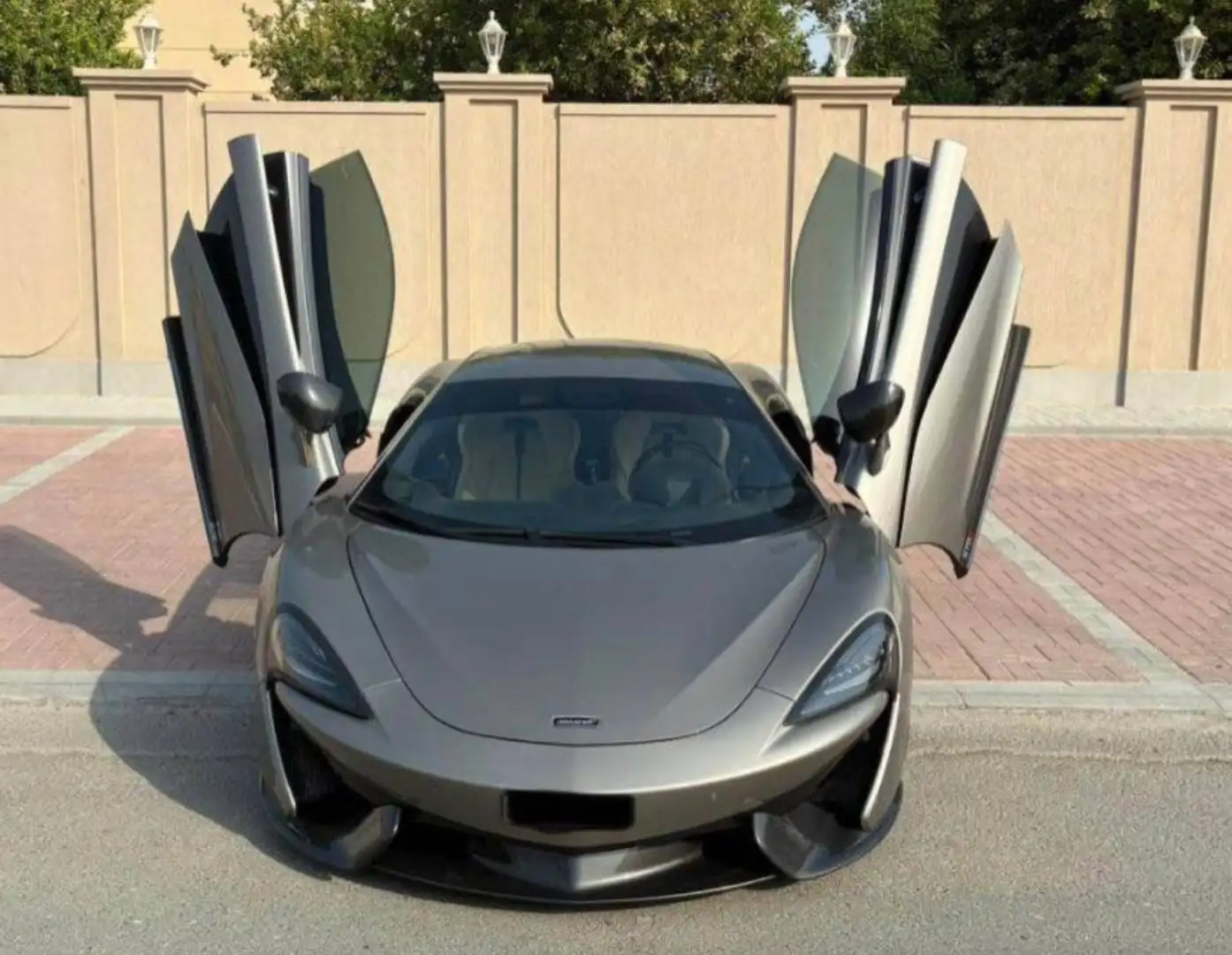 McLaren 570S 570S Coupe Gris - 1
