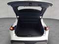 Nissan Qashqai 1.3 DIG-T MHEV Xtronic Tekna+ Blanco - thumbnail 5