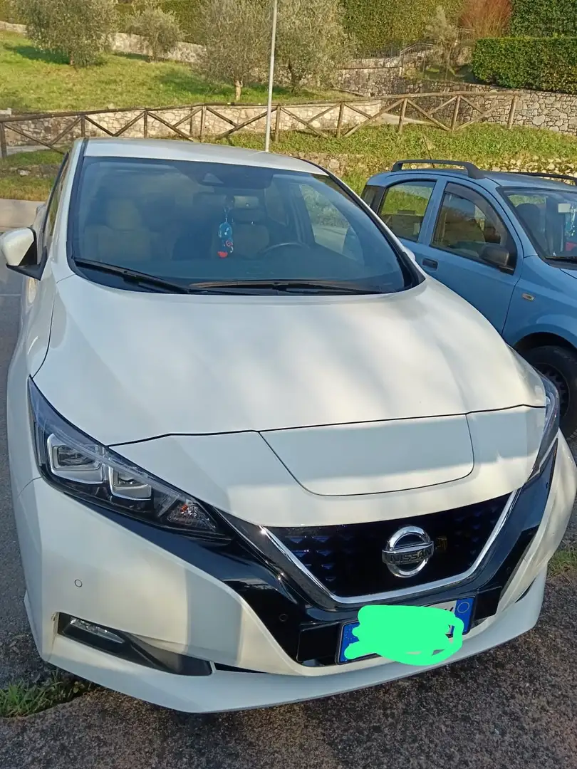 Nissan Leaf business 40kw - 1