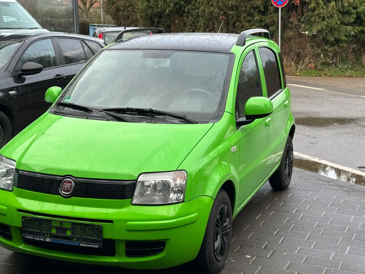 Fiat Panda 1.2 8V Dynamic Grün - 2