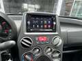 Fiat Panda 1.2 8V Dynamic Grün - thumbnail 13