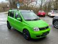 Fiat Panda 1.2 8V Dynamic Grün - thumbnail 7