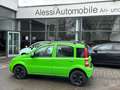 Fiat Panda 1.2 8V Dynamic Grün - thumbnail 3