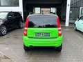 Fiat Panda 1.2 8V Dynamic Grün - thumbnail 4
