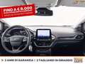 Ford Puma 1.0 ecoboost h titanium s&s 125cv Grigio - thumbnail 10