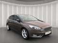 Ford Focus Titanium 2.0TDCi AHK,XENON,BUSINES,SITZHZG Bruin - thumbnail 3