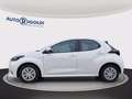 Toyota Yaris 1.5h business Blanc - thumbnail 3