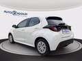 Toyota Yaris 1.5h business Blanc - thumbnail 12
