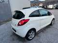 Ford Ka/Ka+ 1.2 Benzin Weiß - thumbnail 3