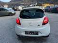 Ford Ka/Ka+ 1.2 Benzin Weiß - thumbnail 4