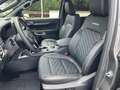 Ford Ranger DoKa 3.0Platinum Standh. Rollo AHK sofort Gris - thumbnail 7