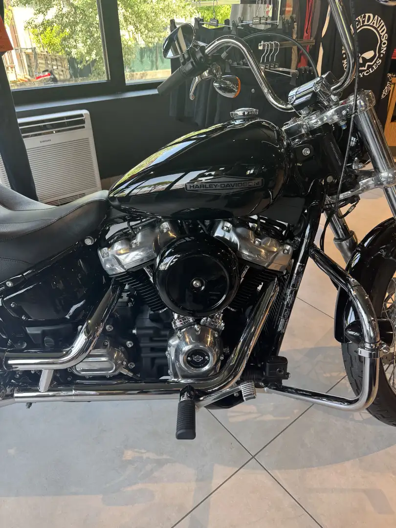 Harley-Davidson Softail softail standard - 2