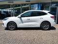 Ford Kuga PHEV ST-Line X 2xKamera AHK schw HUD 1.Hand Weiß - thumbnail 3