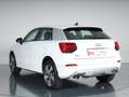 Audi Q2 30 1.6 tdi Admired s-tronic my20 Bianco - thumbnail 4