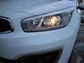 Kia Ceed SW / cee'd SW Weiß - thumbnail 16