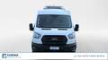 Ford Transit 350 2.0TDCi EcoBlue MHEV 170CV PM-TM Furgone Trend Bianco - thumbnail 7