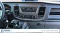 Ford Transit 350 2.0TDCi EcoBlue MHEV 170CV PM-TM Furgone Trend Bianco - thumbnail 11