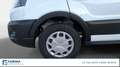 Ford Transit 350 2.0TDCi EcoBlue MHEV 170CV PM-TM Furgone Trend Bianco - thumbnail 14