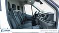 Ford Transit 350 2.0TDCi EcoBlue MHEV 170CV PM-TM Furgone Trend Bianco - thumbnail 15
