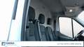 Ford Transit 350 2.0TDCi EcoBlue MHEV 170CV PM-TM Furgone Trend Bianco - thumbnail 13