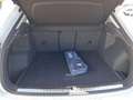Audi Q3 35 TFSI Advanced S tronic Blanco - thumbnail 12