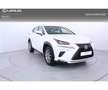 Lexus NX 300 300h Executive Kick Power+ Navigation 4WD Wit - thumbnail 5