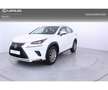 Lexus NX 300 300h Executive Kick Power+ Navigation 4WD Fehér - thumbnail 1