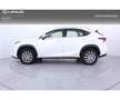 Lexus NX 300 300h Executive Kick Power+ Navigation 4WD Bianco - thumbnail 3