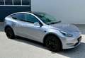 Tesla Model Y Long Range Dual AWD Quicksilber 20Zoll Grau - thumbnail 1