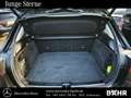 Mercedes-Benz B 250 B 250 4M Progressive/Distronic/AHK/RFK/LMR-17" LED Schwarz - thumbnail 10